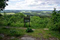 11: DSC_3492