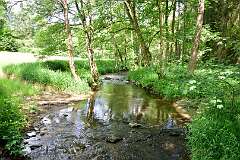 23: DSC_3515