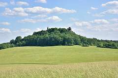 71: DSC_3574