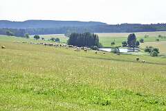 84: DSC_3593
