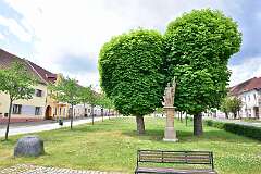 94: DSC_3607