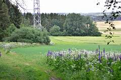 98: DSC_3612