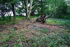 103: DSC_3617