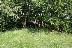 109: DSC_3631
