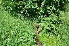 127: DSC_3653