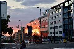 133: DSC_3662