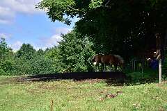19: DSC_3697