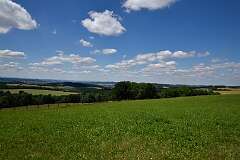 42: DSC_3736