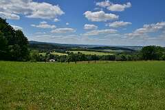 43: DSC_3740