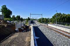 73: DSC_3774