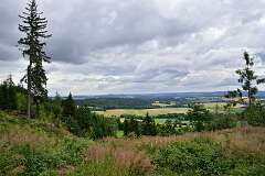 26: DSC_3806