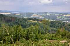 42: DSC_3836