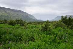 41: DSC_3907