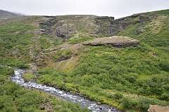 42: DSC_3908