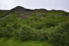 72: DSC_3947
