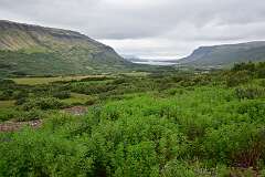 74: DSC_3950