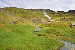 79: DSC_3956
