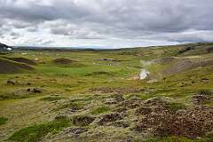 82: DSC_3959