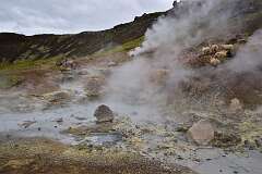 94: DSC_3972
