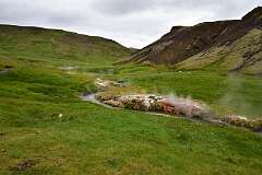 104: DSC_3982