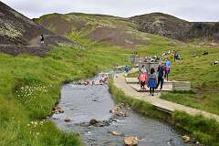 106: DSC_3984