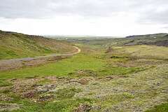 110: DSC_3998