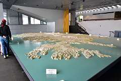 141: DSC_4043