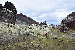 227: DSC_4152