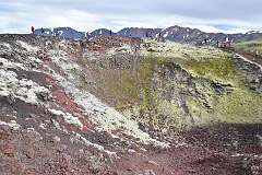 228: DSC_4153