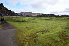 253: DSC_4188