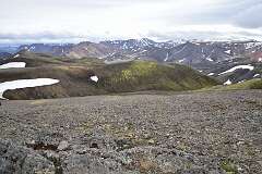 266: DSC_4202