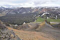 267: DSC_4203