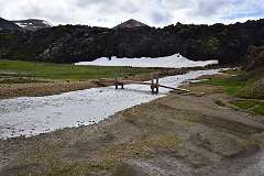 276: DSC_4212