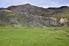 283: DSC_4219