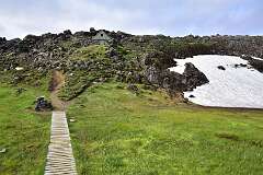 287: DSC_4224