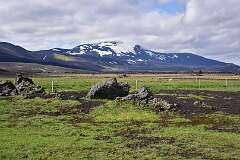 291: DSC_4229