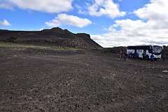 294: DSC_4233