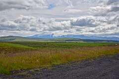 296: DSC_4235