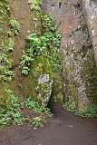 307: DSC_4247