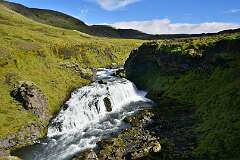 352: DSC_4318