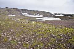 390: DSC_4366