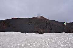 403: DSC_4384