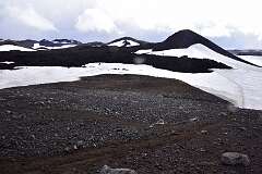 406: DSC_4388