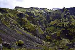 427: DSC_4423