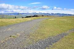 451: DSC_4452
