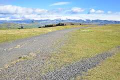 452: DSC_4453