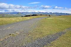 453: DSC_4454