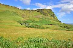 478: DSC_4492