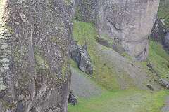501: DSC_4520