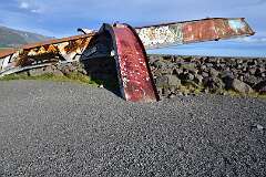503: DSC_4522